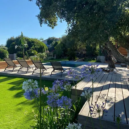 Βίλα & Casa Sadrea Lecci